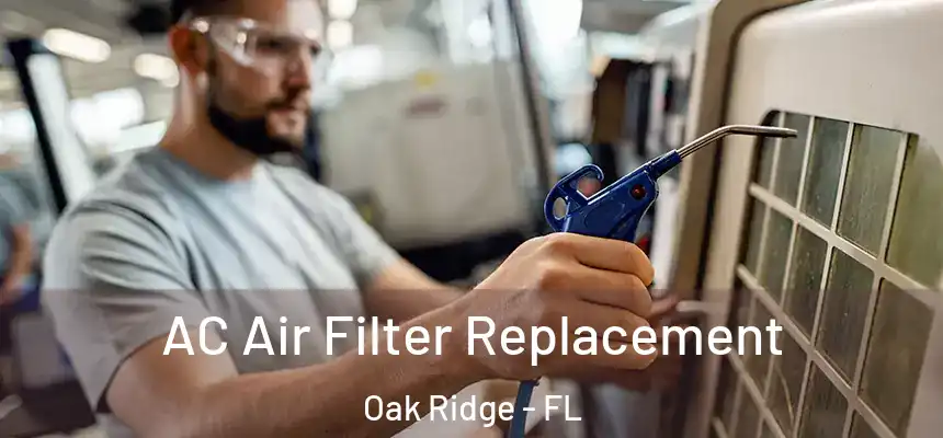 AC Air Filter Replacement Oak Ridge - FL