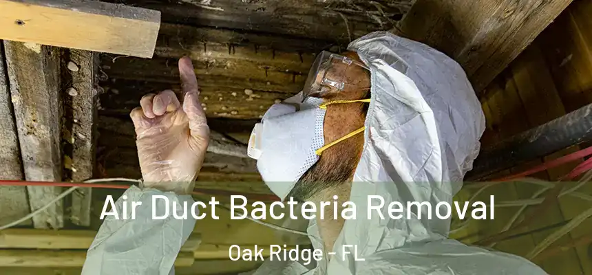 Air Duct Bacteria Removal Oak Ridge - FL