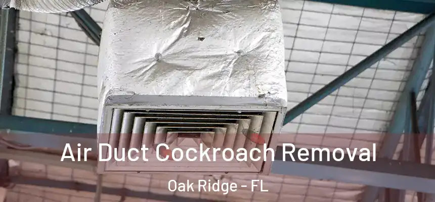 Air Duct Cockroach Removal Oak Ridge - FL