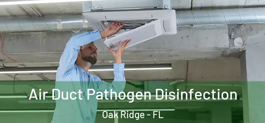 Air Duct Pathogen Disinfection Oak Ridge - FL