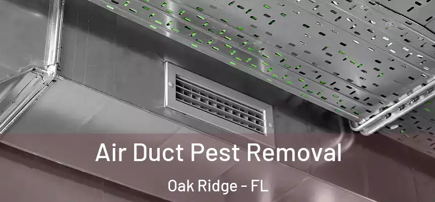 Air Duct Pest Removal Oak Ridge - FL