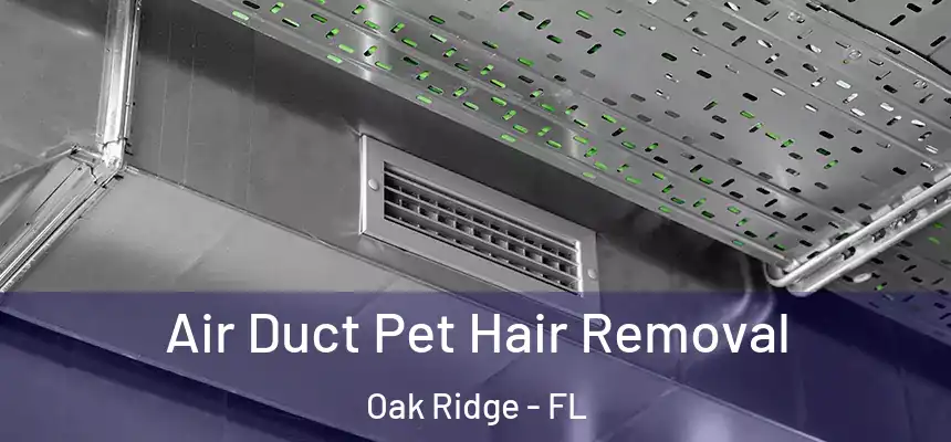 Air Duct Pet Hair Removal Oak Ridge - FL