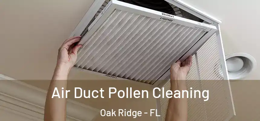 Air Duct Pollen Cleaning Oak Ridge - FL