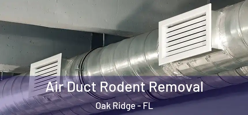 Air Duct Rodent Removal Oak Ridge - FL