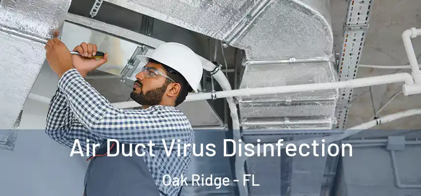 Air Duct Virus Disinfection Oak Ridge - FL