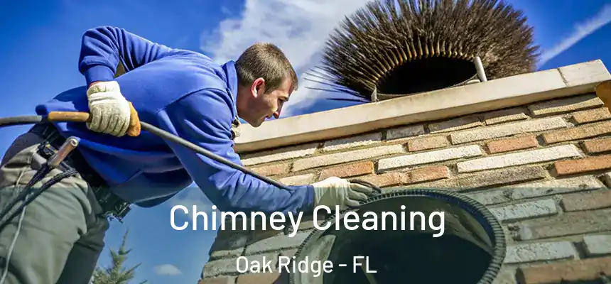 Chimney Cleaning Oak Ridge - FL