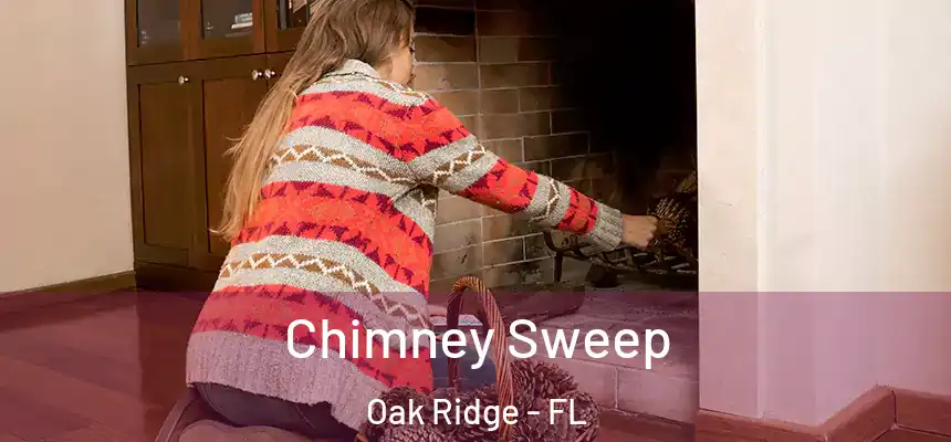  Chimney Sweep Oak Ridge - FL