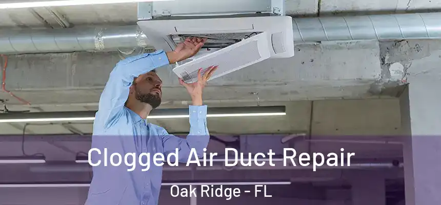 Clogged Air Duct Repair Oak Ridge - FL
