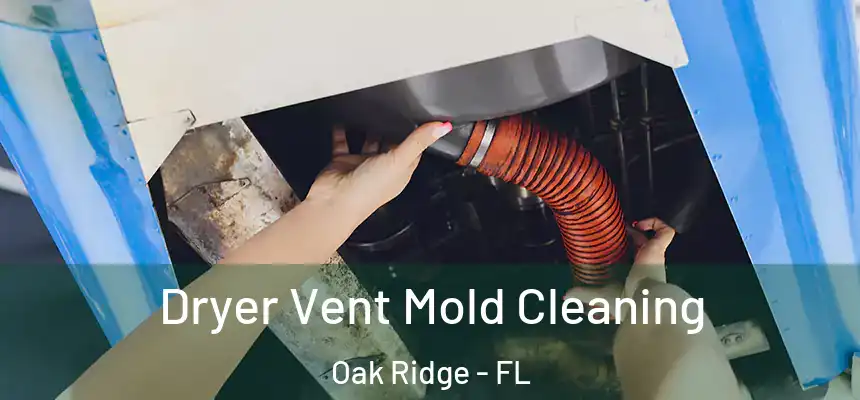 Dryer Vent Mold Cleaning Oak Ridge - FL