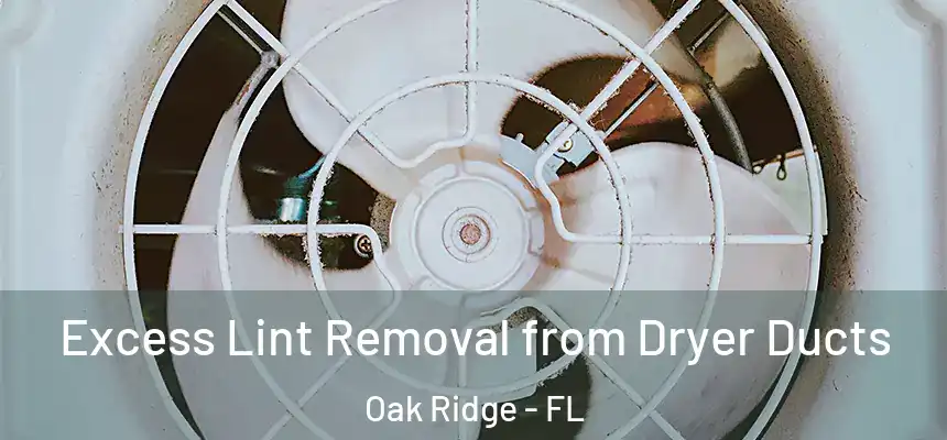 Excess Lint Removal from Dryer Ducts Oak Ridge - FL