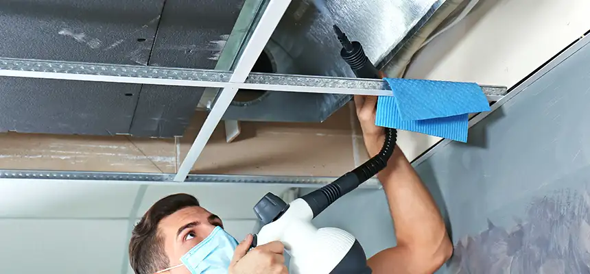 Our Air Duct Rodent Removal Services in Oak Ridge, FL