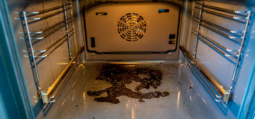 Our Dryer Vent Mold Cleaning Services in Oak Ridge, FL