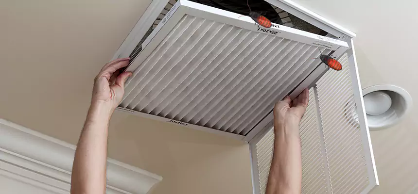 Our Insect Removal from Air Ducts Services in Oak Ridge, FL