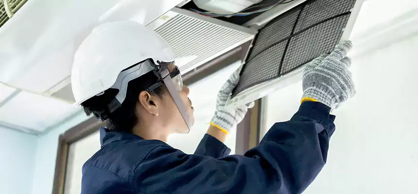 Our Mold & Mildew Removal from Air Ducts Services in Oak Ridge, FL