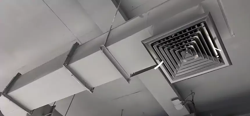 Our Pest Removal From Ducts Services in Oak Ridge, FL