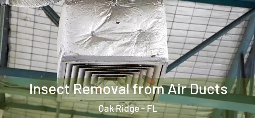 Insect Removal from Air Ducts Oak Ridge - FL