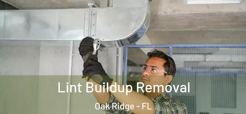 Lint Buildup Removal Oak Ridge - FL