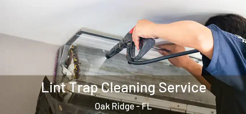 Lint Trap Cleaning Service Oak Ridge - FL