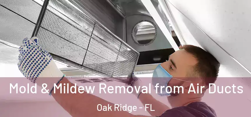 Mold & Mildew Removal from Air Ducts Oak Ridge - FL