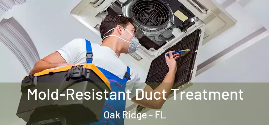 Mold-Resistant Duct Treatment Oak Ridge - FL