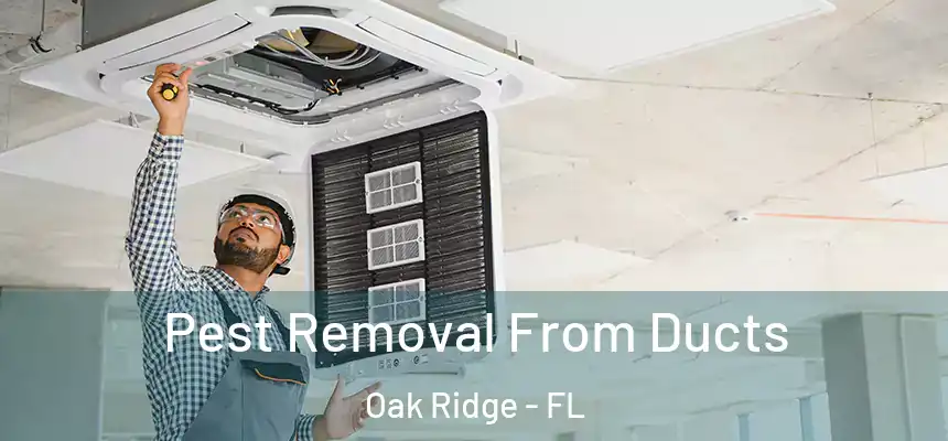 Pest Removal From Ducts Oak Ridge - FL