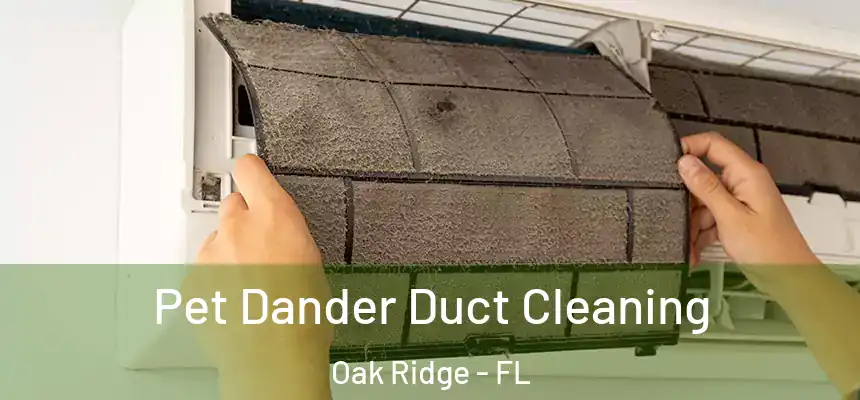 Pet Dander Duct Cleaning Oak Ridge - FL