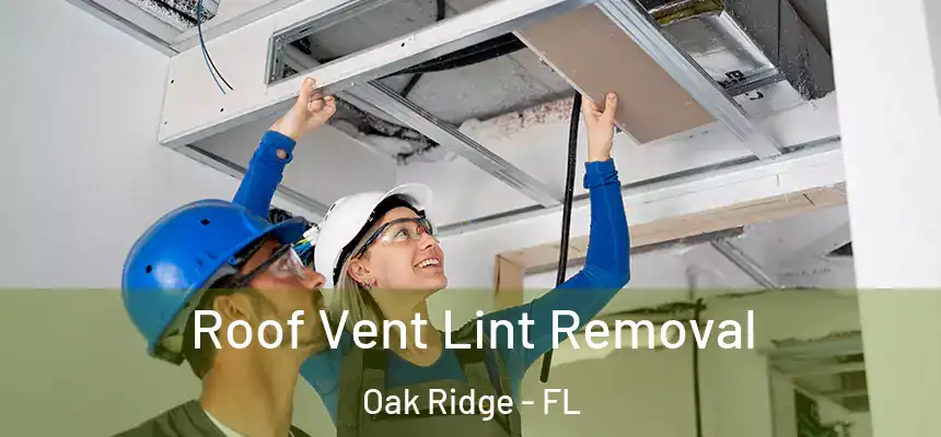 Roof Vent Lint Removal Oak Ridge - FL