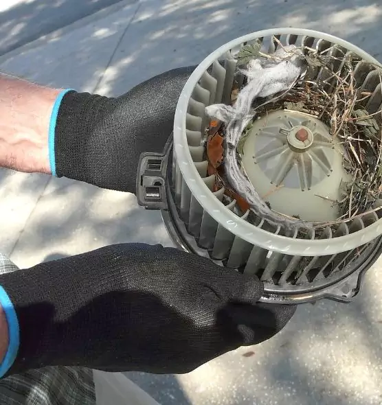 About Air Duct Mice Removal in Oak Ridge, FL
