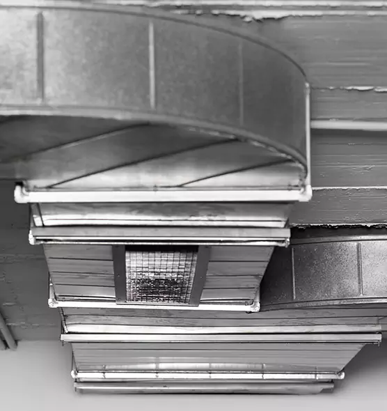 Professional Air Duct Pet Hair Removal in Oak Ridge, FL