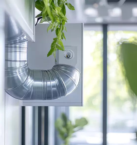 Professional Eco-Safe Dryer Vent Cleaning in Oak Ridge, FL