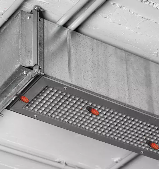 Affordable Insect Removal from Air Ducts in Oak Ridge, FL