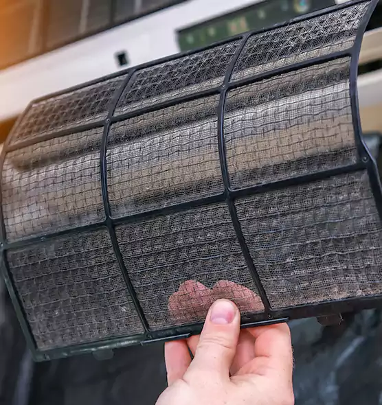 About Pet Dander Duct Cleaning in Oak Ridge, FL